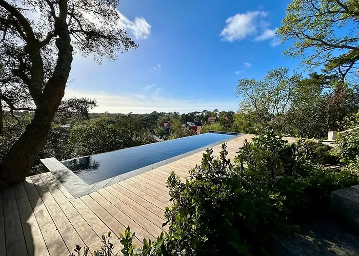 Peaceful Oasis In D'hiver Apartamento Arcachon