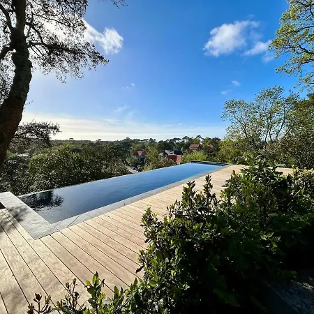 Peaceful Oasis In D'hiver Apartamento Arcachon